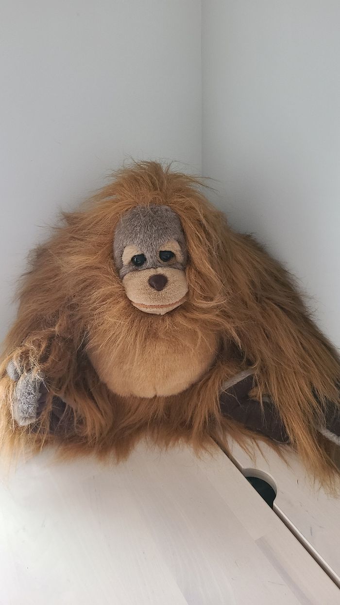 Peluche orang outan - photo numéro 4