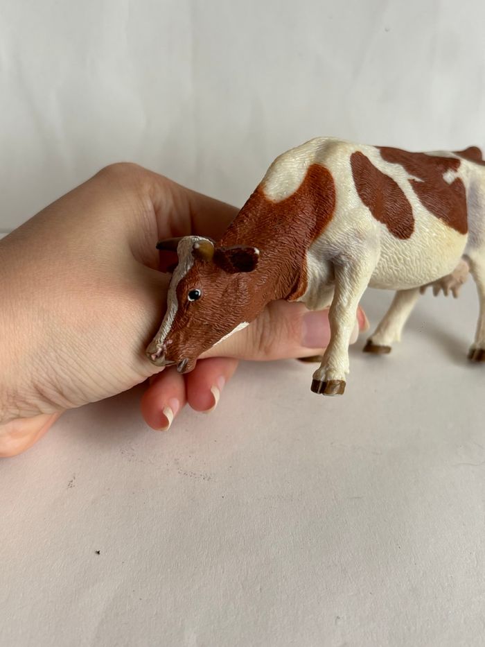 Vache papo - photo numéro 3