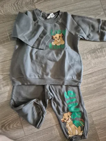 Ensemble simba