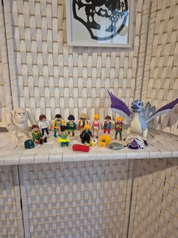 💕Super Lot Playmobil : Yéti, Oiseau Fantastique, 10 Personnages et Accessoires💕