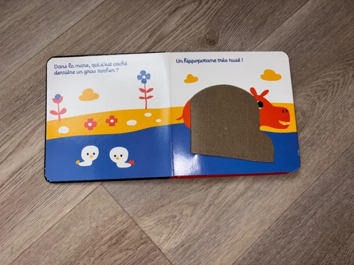 Livre bébé - photo numéro 2