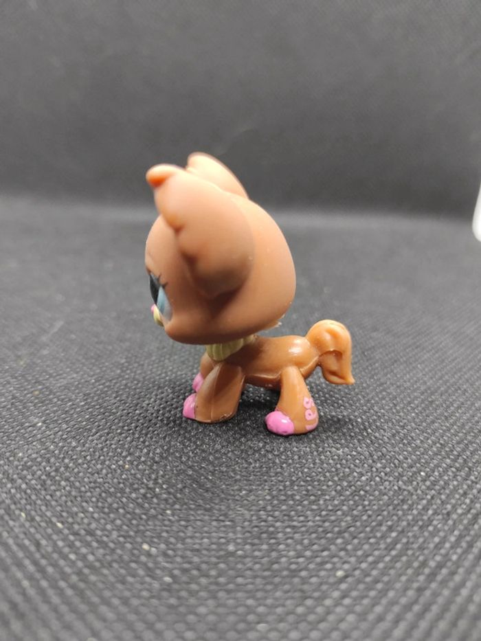 Littlest Petshop LPS dog chien papillon 1623 chihuahua hasbro #geektradelpschien - photo numéro 5