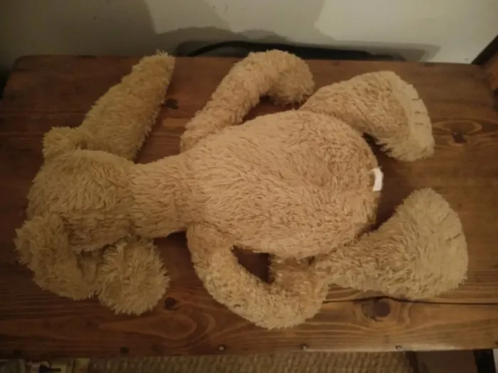 Peluche - photo numéro 4