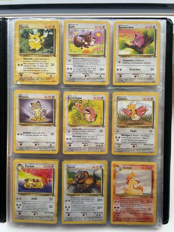 Lot de 22 cartes Jungle 1995