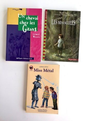 Romans pour enfants 7/8 ans