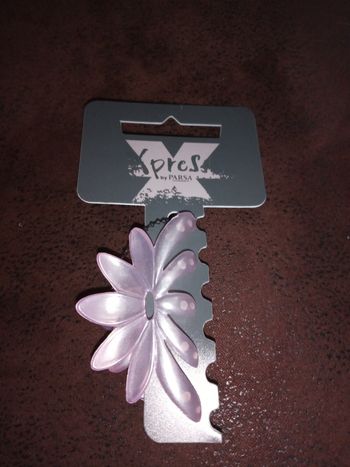 Petite pince en plastique "Xpress by Parsa"