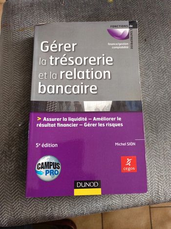 Gérer la trésorerie et la relation bancaire