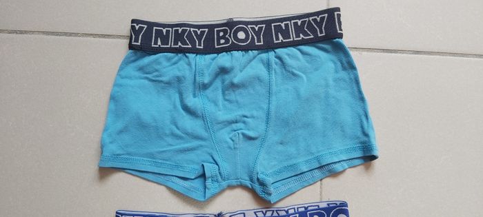 Boxer - photo numéro 2