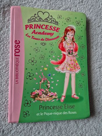 Livre princesse academy