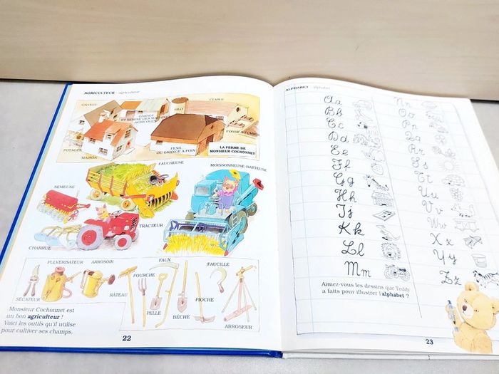 🌺 Livre : Le dictionnaire des petits ours - photo numéro 3