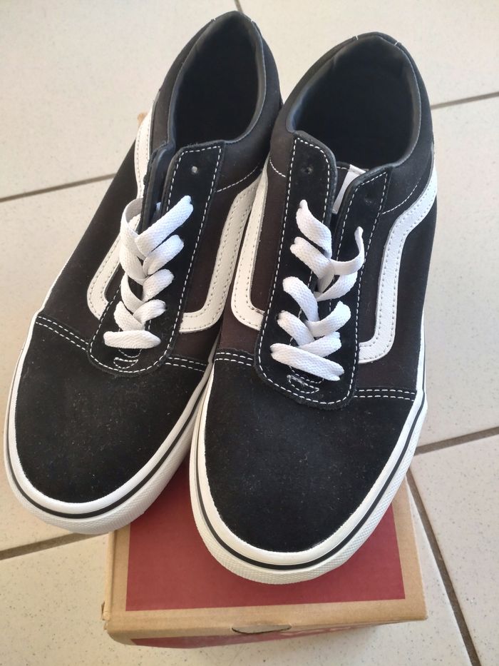 Basket Vans