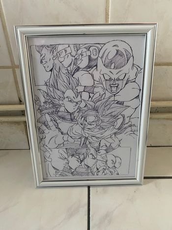 Cadre dragon ball super 