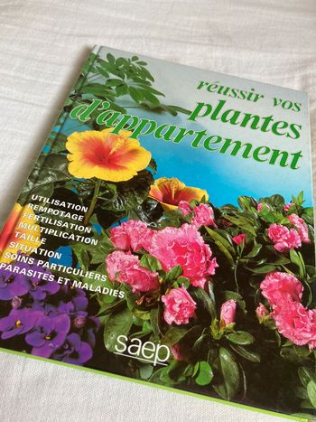 Réussir vos plantes d’appartements