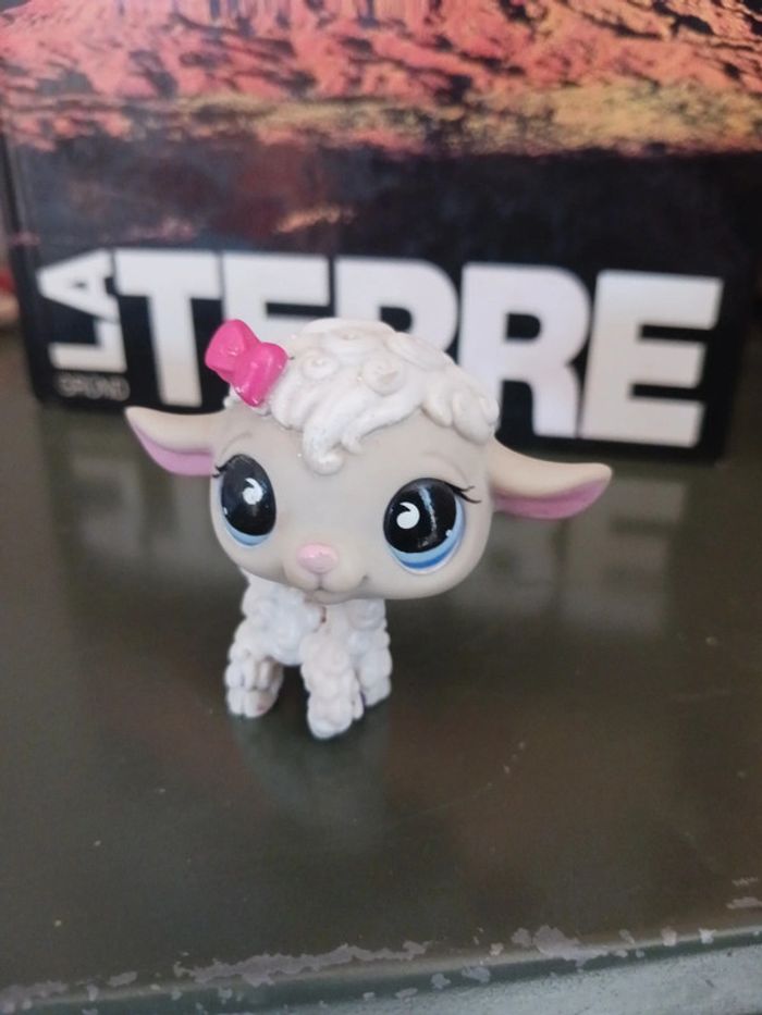 Petshop mouton #879 - photo numéro 5