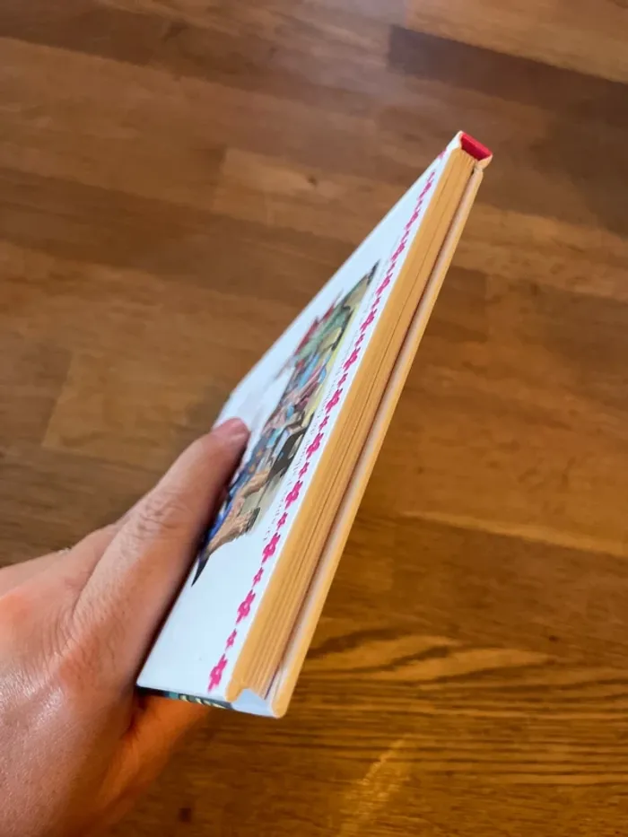 Livre Martine au cirque - photo numéro 6