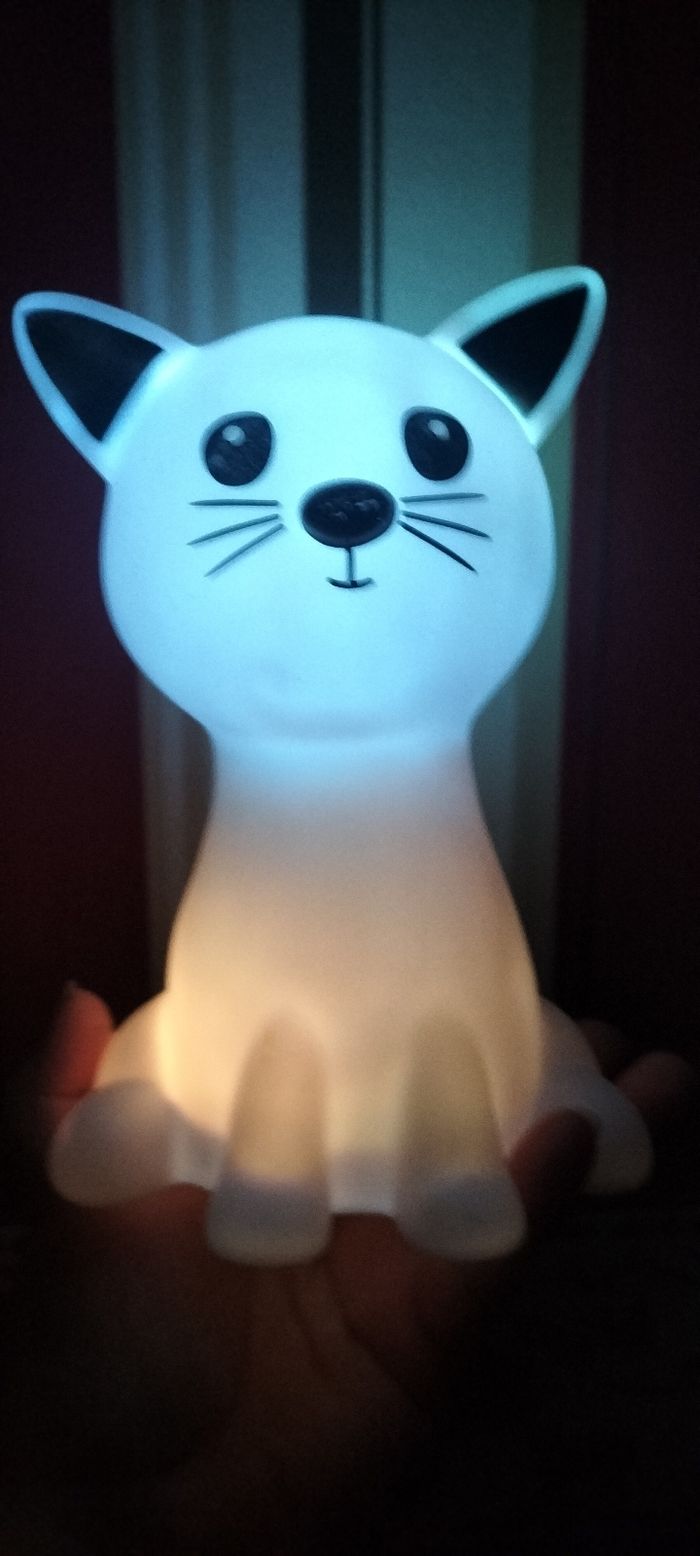 Chat veilleuse lumineux - photo numéro 2