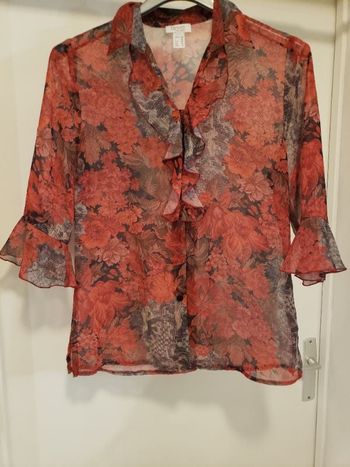 Chemisier transparent