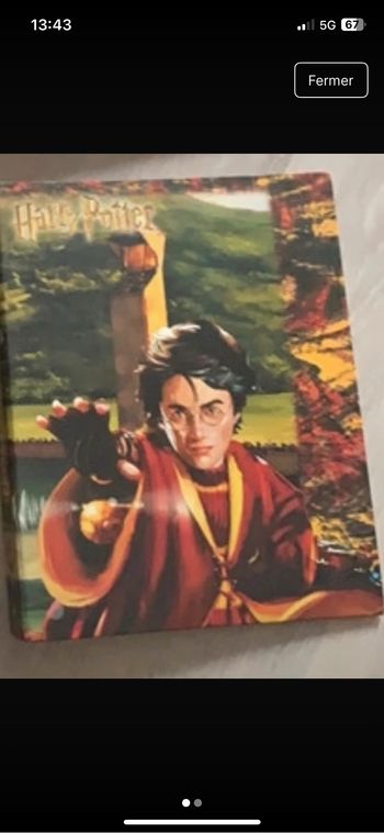 Classeur Harry Potter