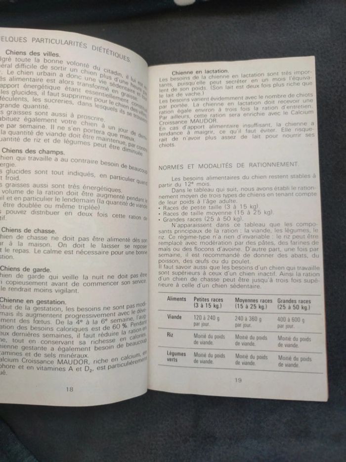 Livre ancien vintage manuel j'élève mon chien - photo numéro 5