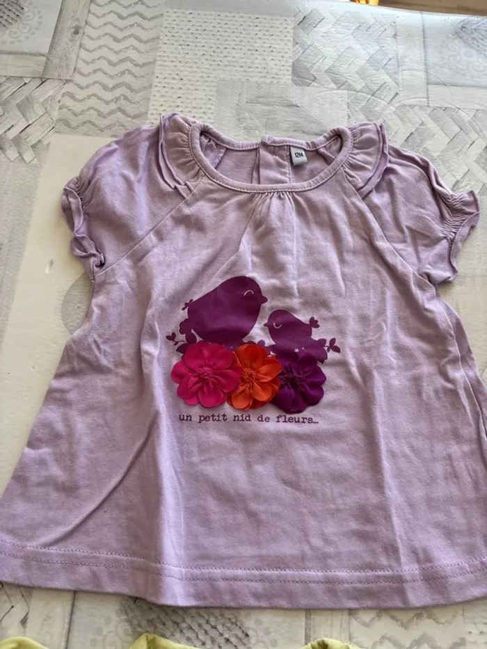 Lot 12 mois fille tee shirt mc - photo numéro 2
