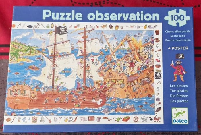 Puzzle d'observation 100 pièces