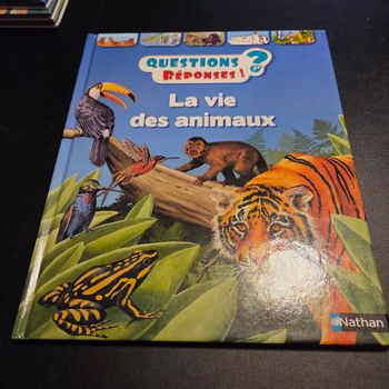 Livre enfant Nathan Questions Réponses