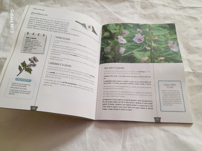Mon jardin de santé Cultivez vos plantes médicinales Serge Scholl - photo numéro 2
