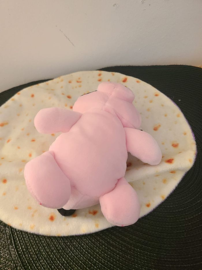 CUTETITOS - photo numéro 5