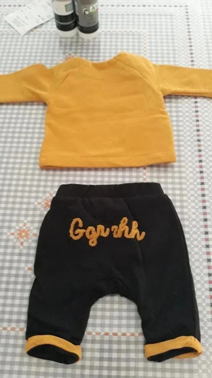 Ensemble 1 mois Orchestra - photo numéro 2