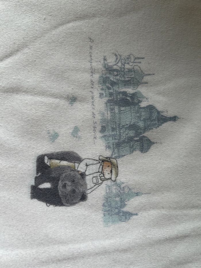 Lot 2 t-shirts Petit Bateau 6 ans - photo numéro 3