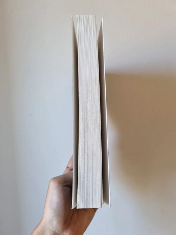 Box livre Les larmes de Shiva - photo numéro 8