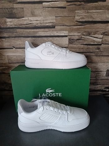 Basket Lacoste 