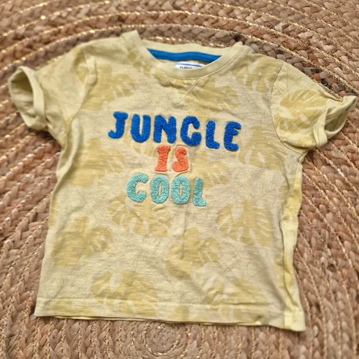 Lot 20 t-shirts 2 ans garçon - photo numéro 19