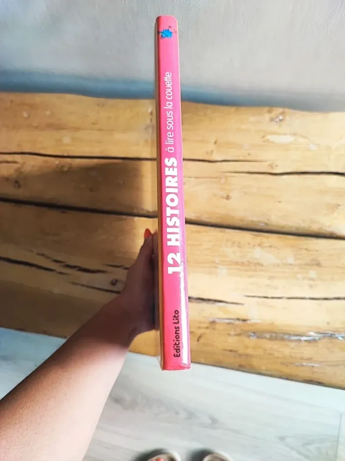 Livre 12 histoires - photo numéro 5