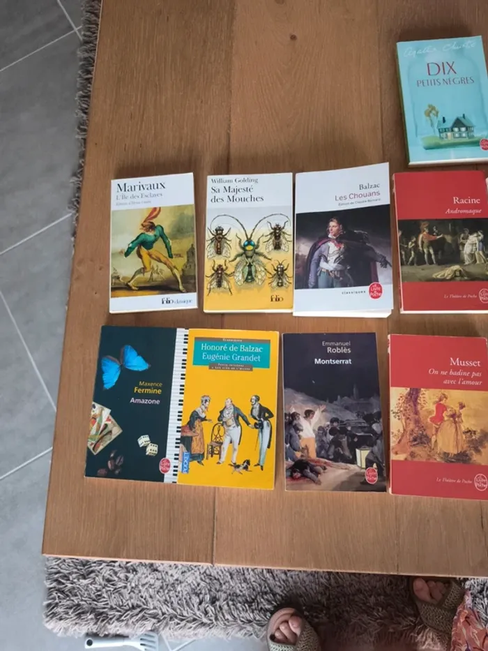 Lot de 13 livres de littérature classique - photo numéro 4
