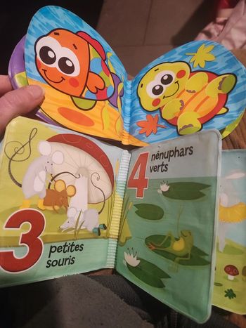 Lot de 2 livres de bain