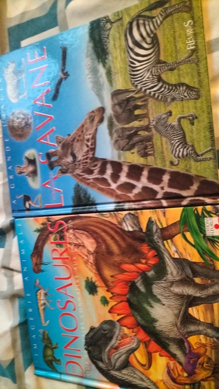La grande imagerie :La Savane et les Dinosaures