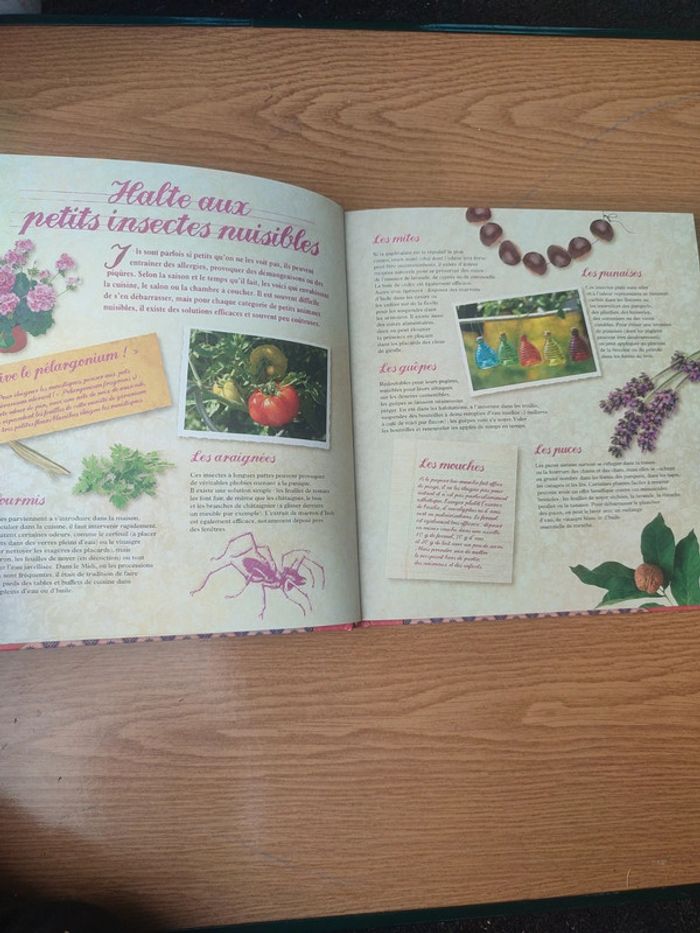 Livre secret et recettes de grand-mère entretien de la maison - photo numéro 15