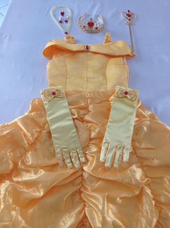 Deguisement la belle et la bête 4-5ans