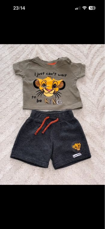 Ensemble roi lion 