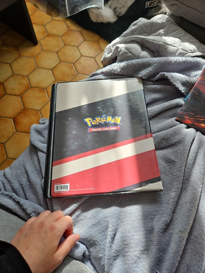 Album pokemon - photo numéro 4