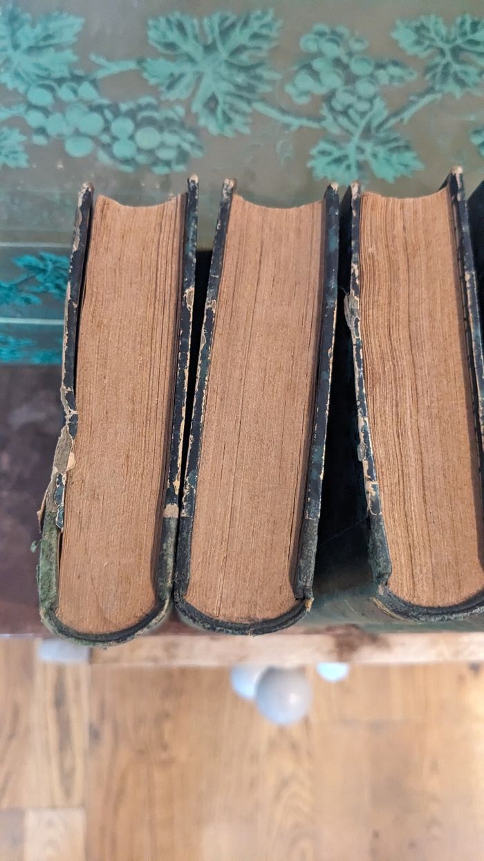 Lot de livres anciens " oeuvres complètes de Walter Scott" - photo numéro 5