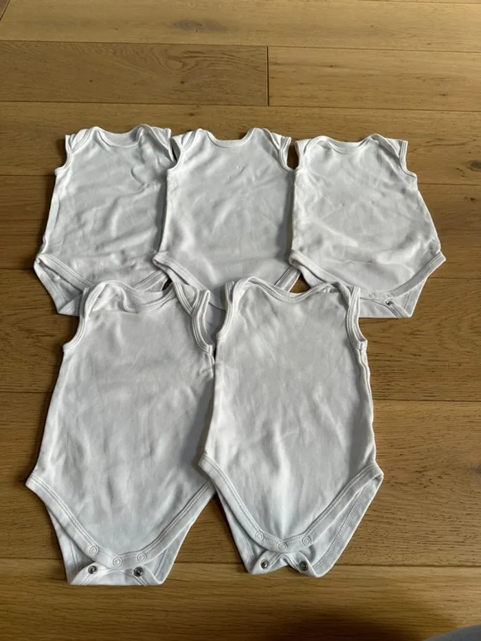 Bodies