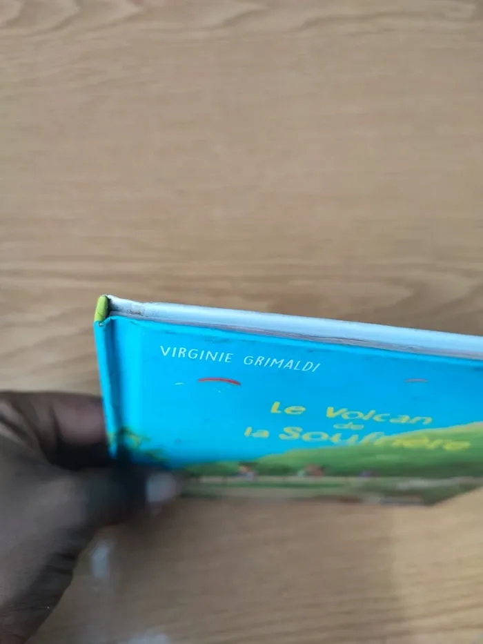 Livre le volcan de la Soufrière - photo numéro 4