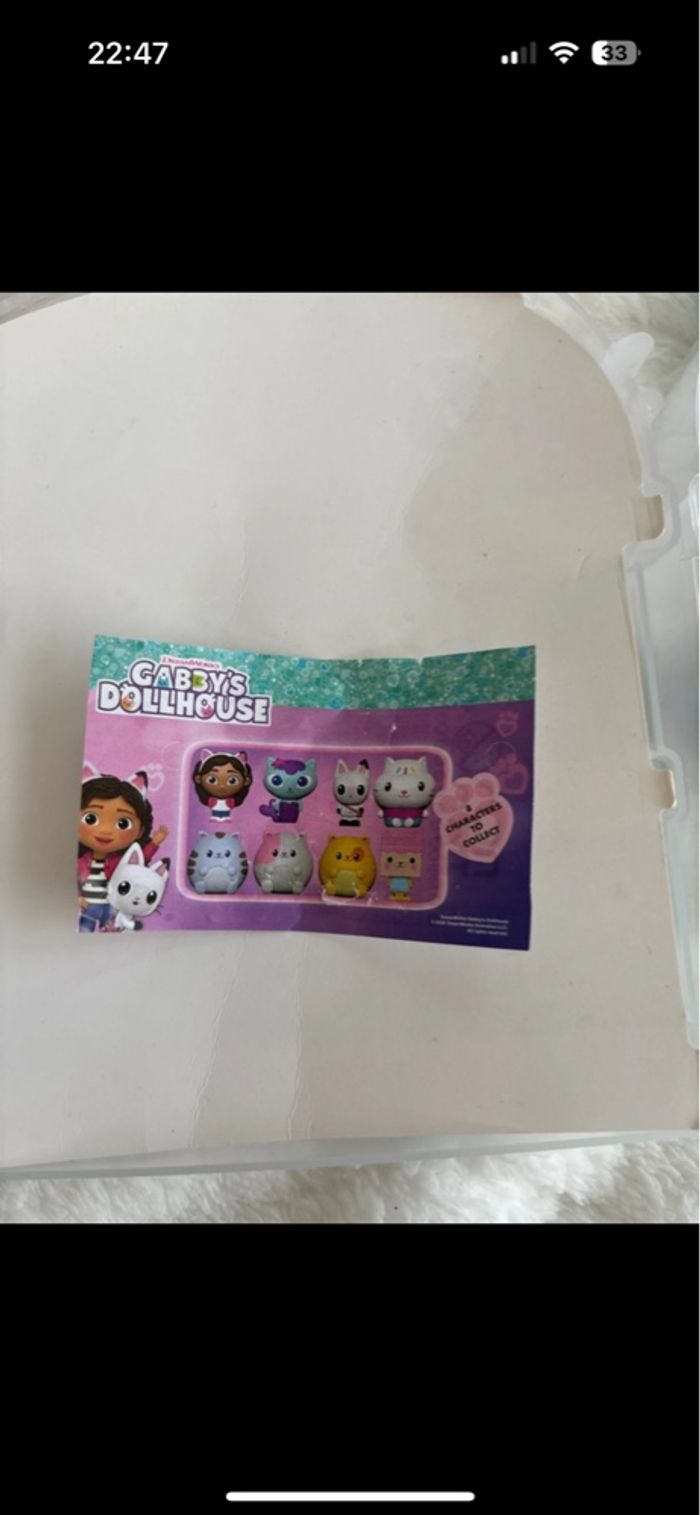 Maison gabby chat - photo numéro 5