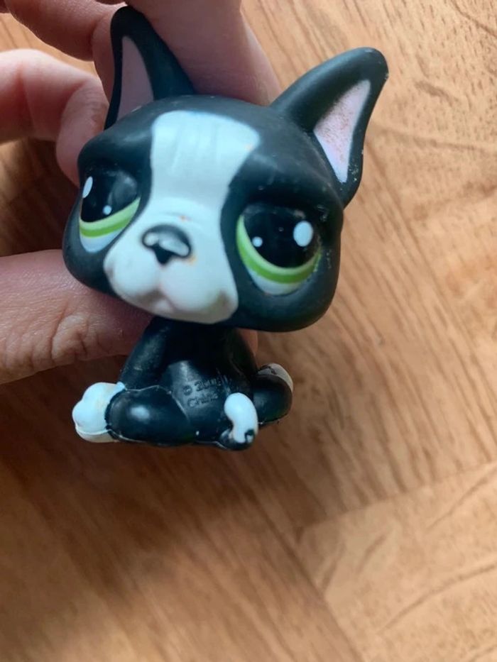 Lot petshops et figurine - photo numéro 6