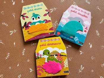 Lot de 3 livres Cache-cache 