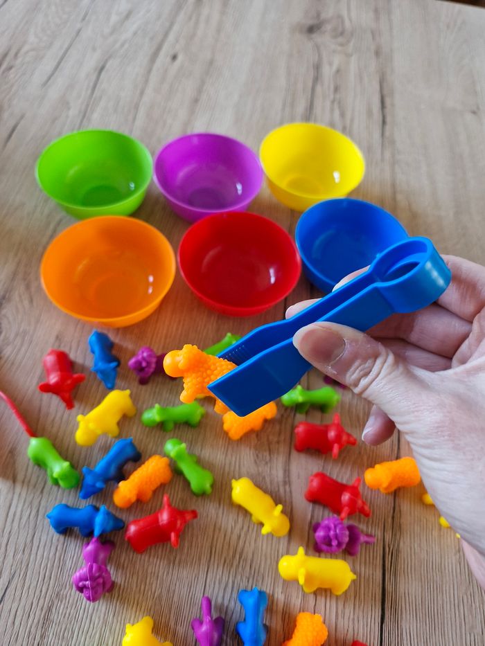Jeu éducatif tri de couleurs et animaux Montessori - photo numéro 2
