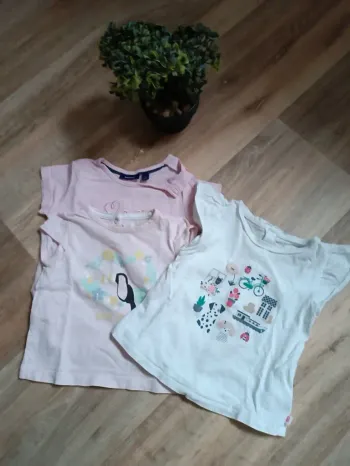 Lot de 3 tee-shirt MC