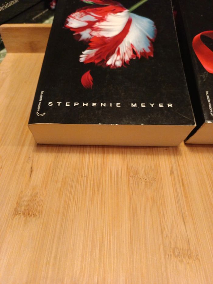 Livre Twilight chapitre 2&3 en bon état - photo numéro 3